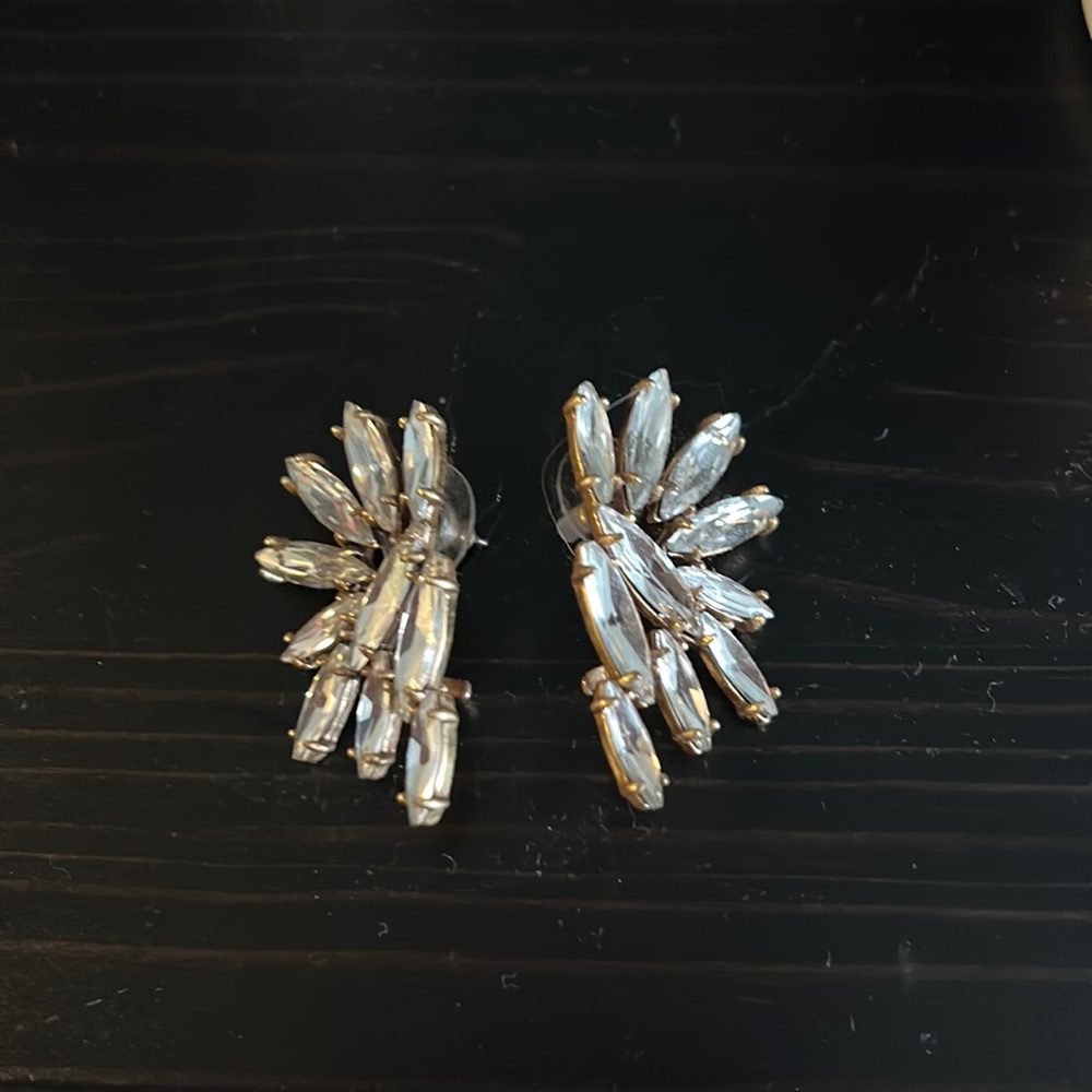 JCREW climber earrings.